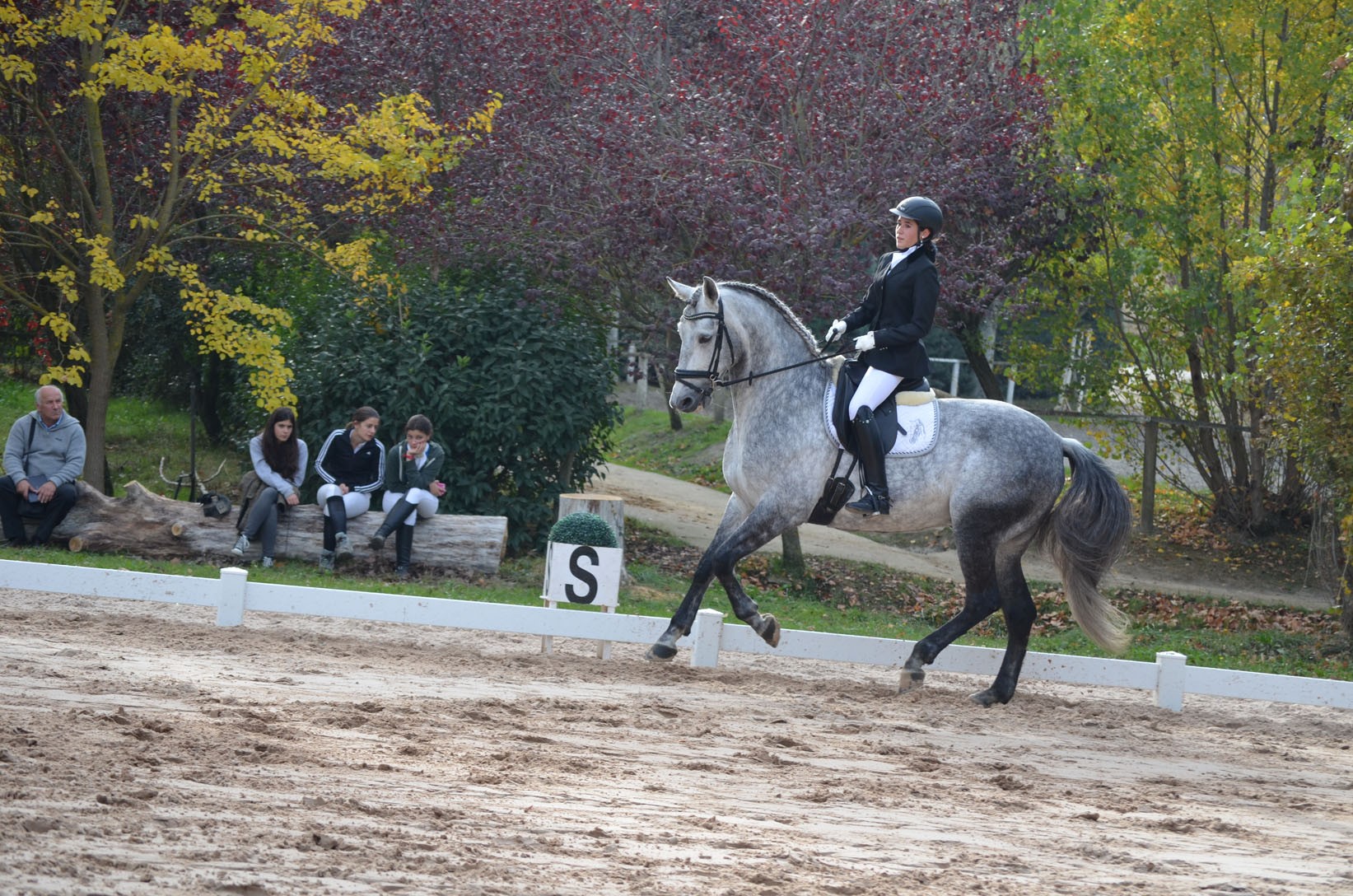 Resultados Finales Campeonato Navarro de Doma Clásica 2015
